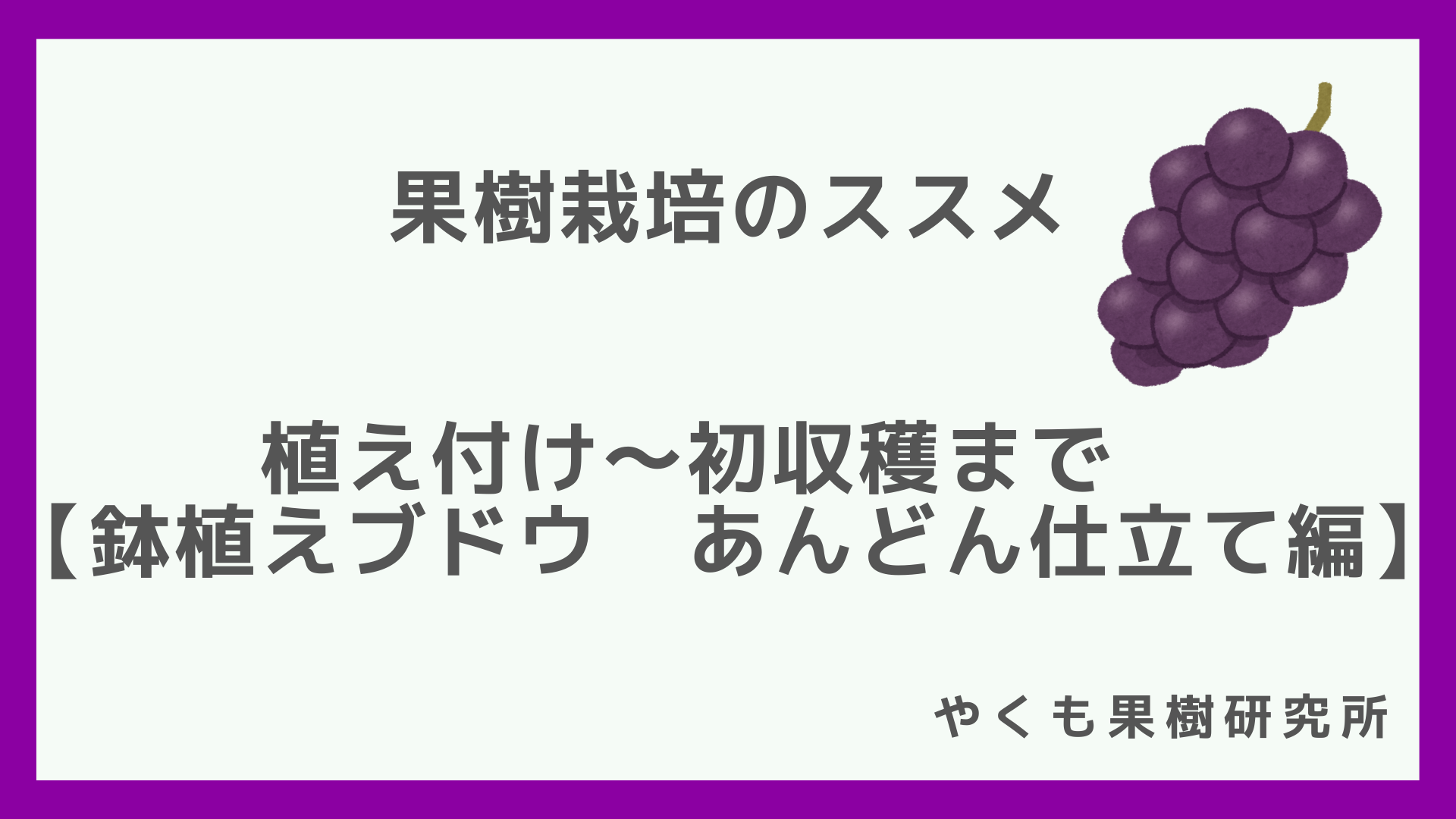 鉢植えブドウ 植え付け 初収穫まで あんどん仕立て編 やくも果樹研究所