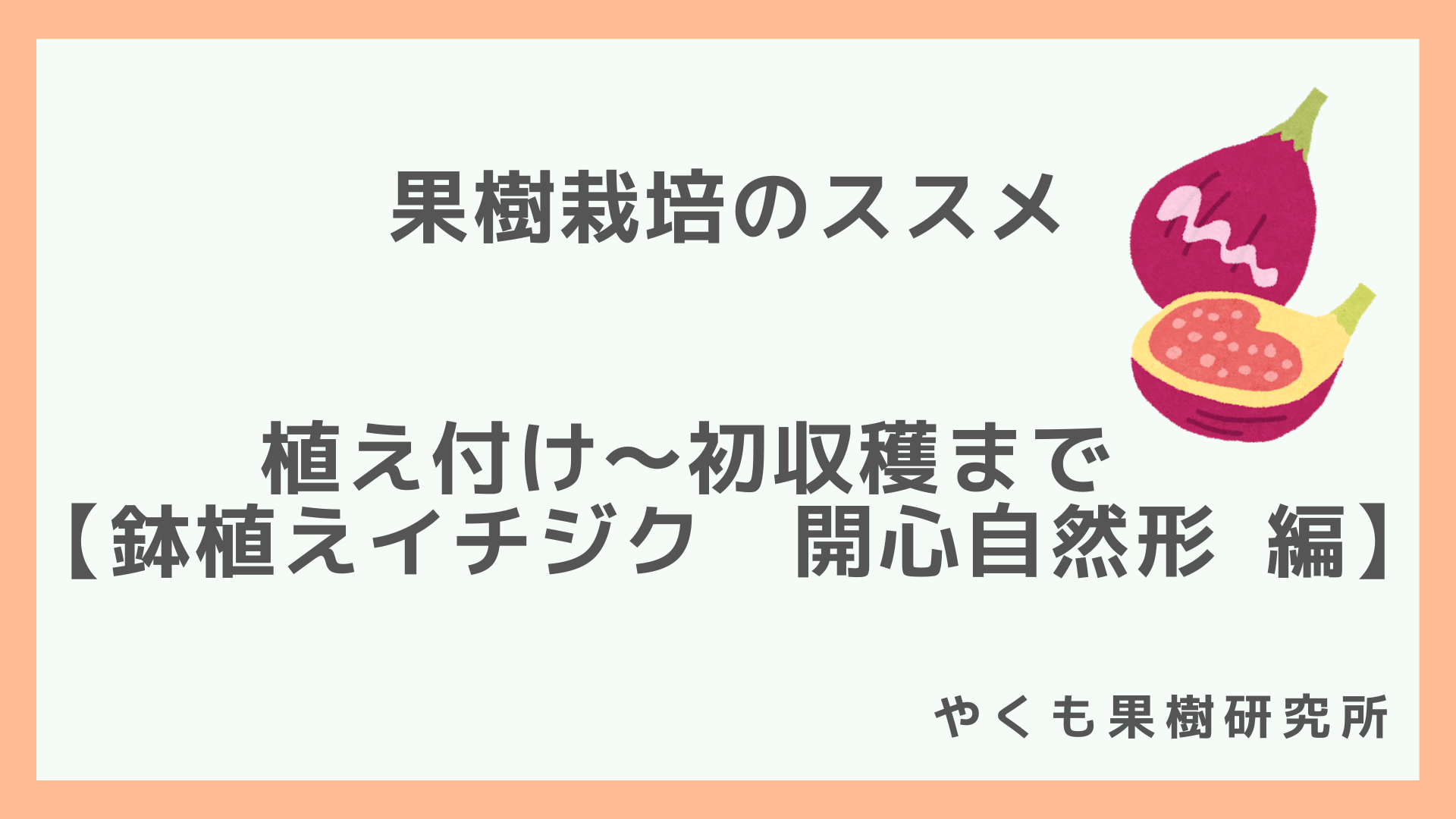 鉢植えイチジク 植え付け 初収穫まで 開心自然形編 やくも果樹研究所