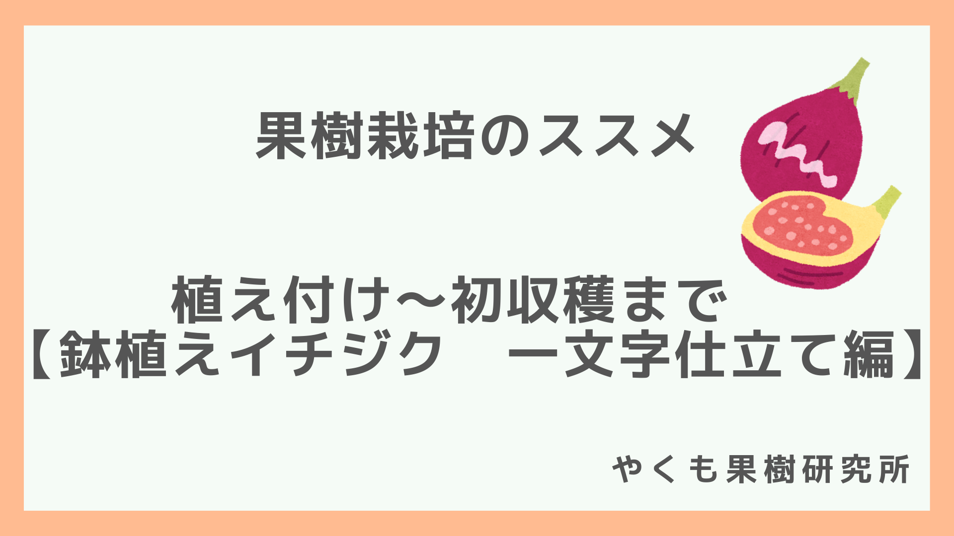 鉢植えイチジク 植え付け 初収穫まで 一文字仕立て編 やくも果樹研究所