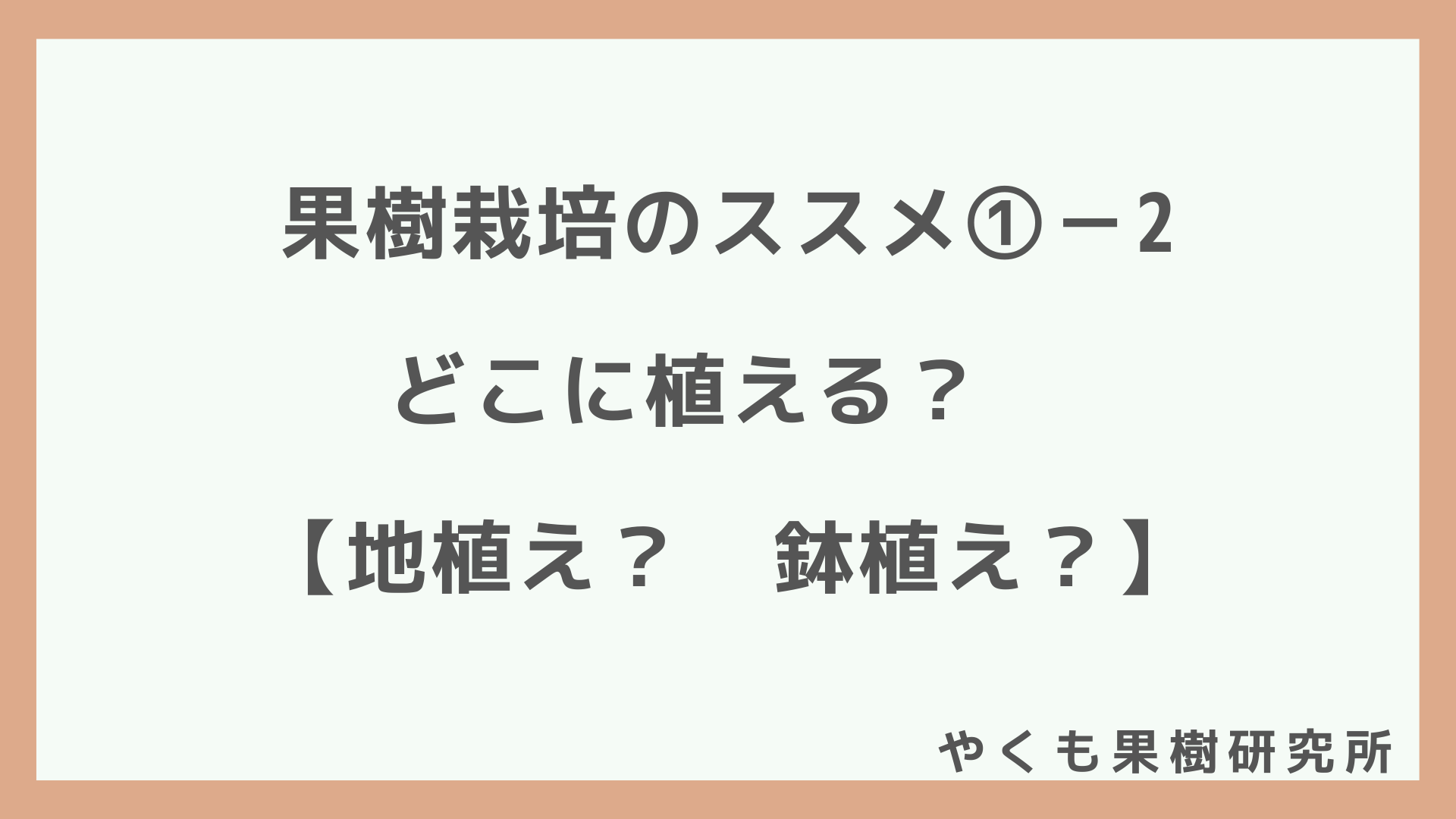 果樹栽培のススメ どこに植える 地植え 鉢植え やくも果樹研究所 果樹栽培ブログ