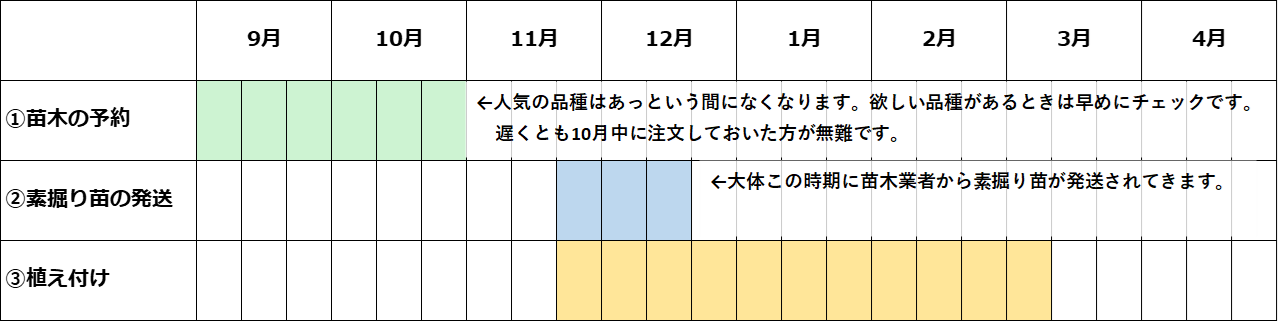 鉢植えキウイ 植え付け作業 やくも果樹研究所