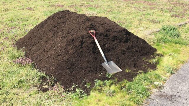 果樹栽培 肥料の基礎【窒素(N)について】