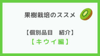 お家でキウイ栽培【品目紹介】