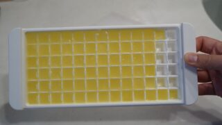 ユズ・レモン・ライムのおススメ活用法【果汁氷】