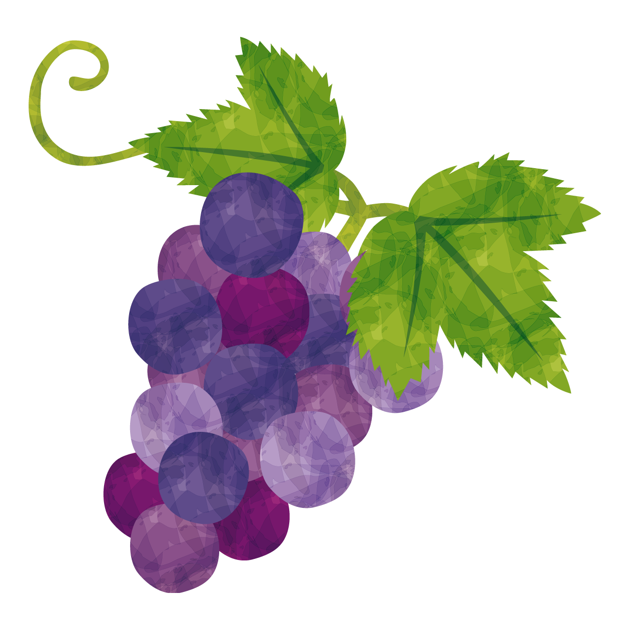 目指せオリジナル品種！　ブドウ育種の方法